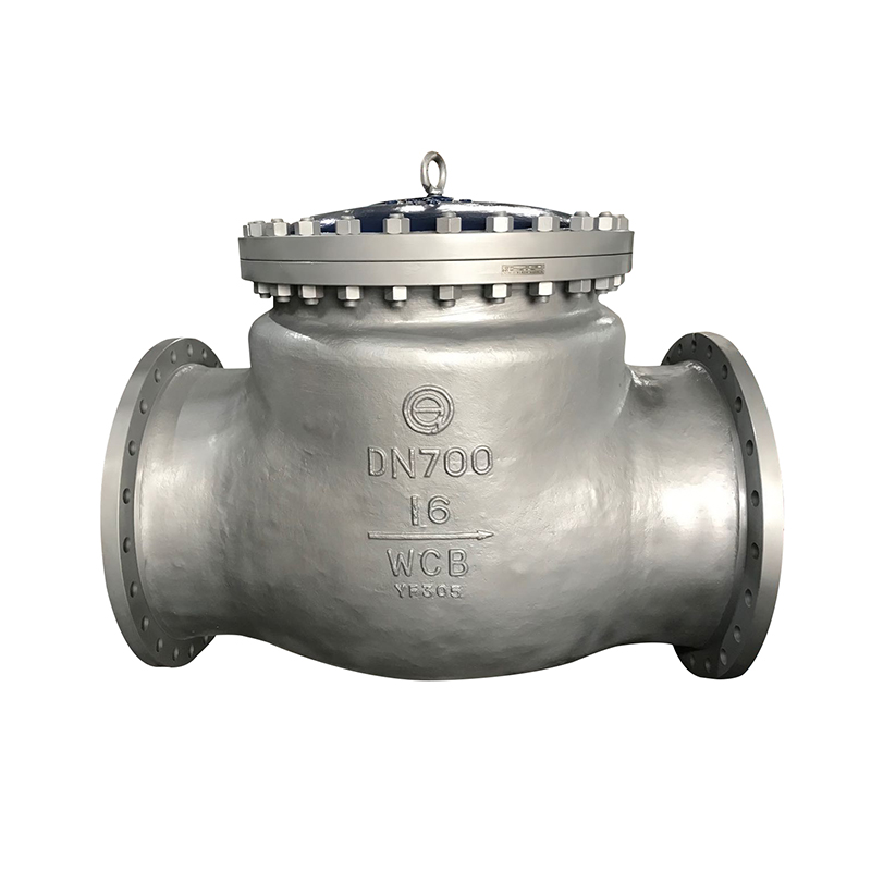 Large Diameter Swing Check Valve