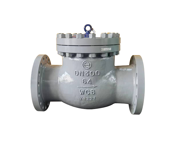 Swing Check Valve