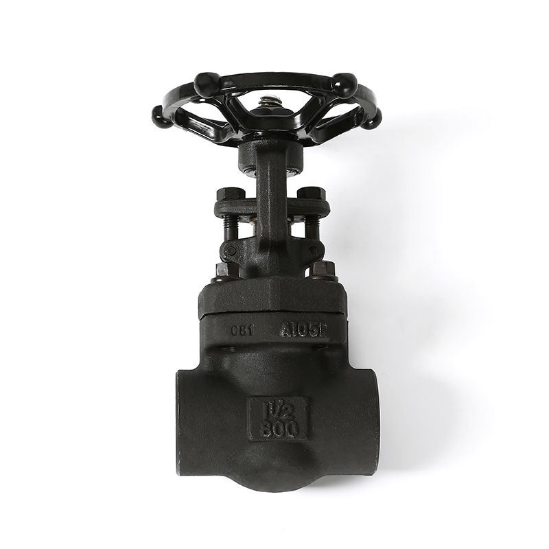 Forged Steel Gate Valve
