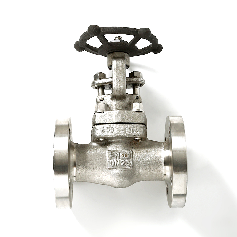 Stainless Steel Flanged Gate Valve