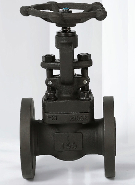Forged Steel Globe Valve