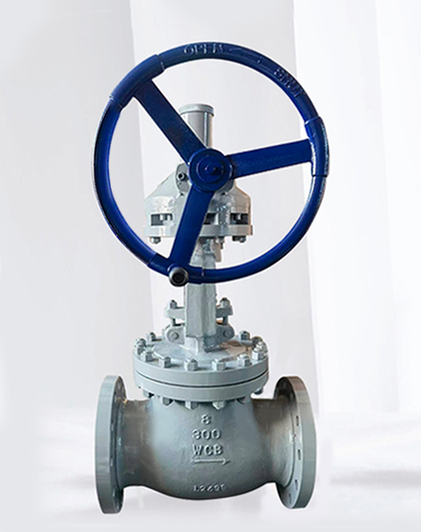 ANSI Globe Valve