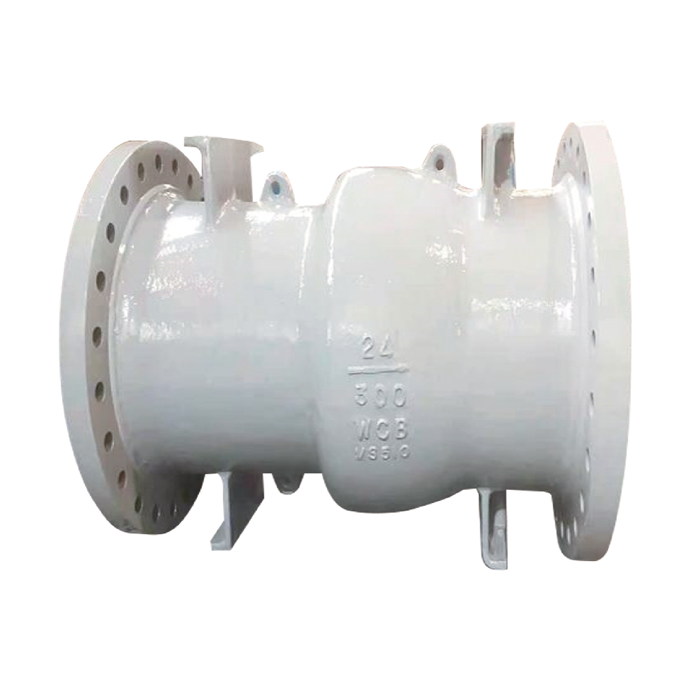 Axial Flow Check Valve